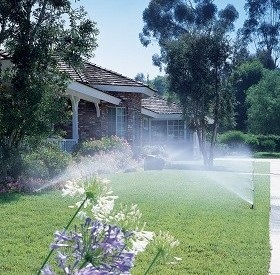 Sprinkleranlage fr automatische Garten-Bewsserung